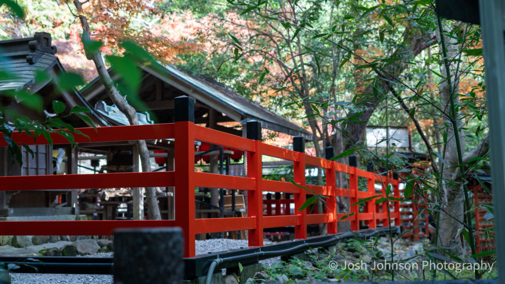 Kyoto Day 2 | Shrine & Train Line crossing